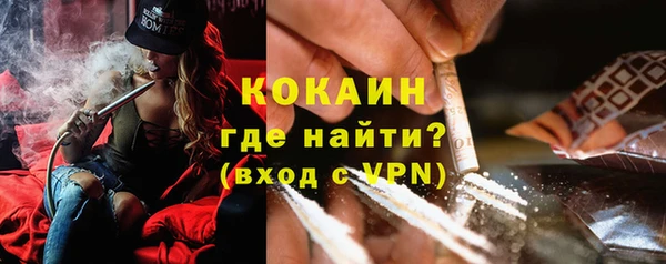 сатива Осташков