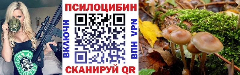 Галлюциногенные грибы прущие грибы  blacksprut зеркало  Берёзовка 